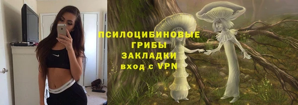 прущие грибы Алексеевка