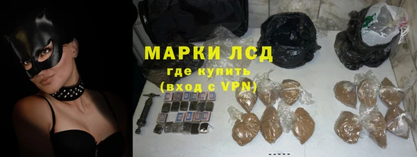 хмурый Абаза